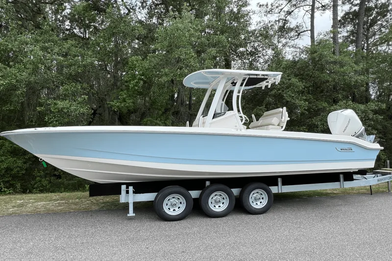 The Image of Boston Whaler 250 Dauntless 2025 - 0