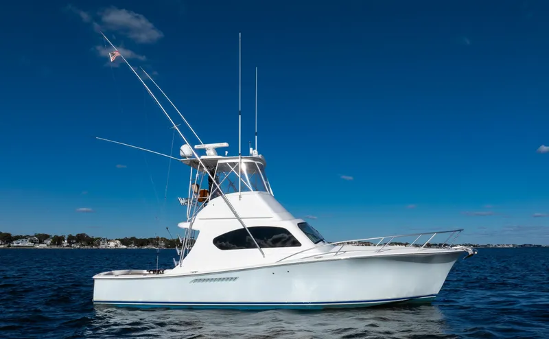 The Image of Ocean 37 Billfish 2011 - 0