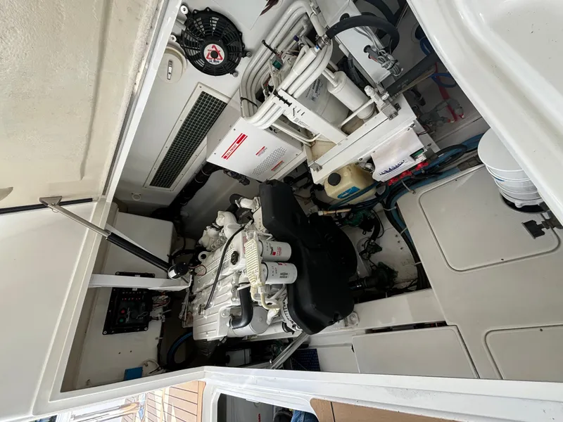 Slide: The Image of Ocean 37 Billfish 2011 - 51