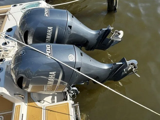 Slide: The Image of Sailfish 275 DC 2021 - 33