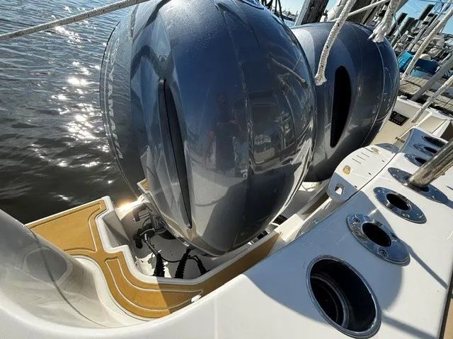 Slide: The Image of Sailfish 275 DC 2021 - 32