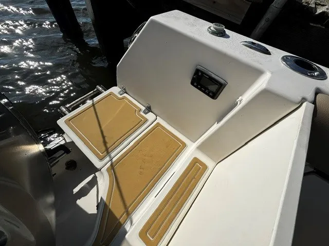 Slide: The Image of Sailfish 275 DC 2021 - 30