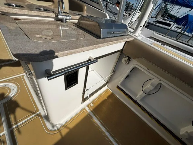 Slide: The Image of Sailfish 275 DC 2021 - 24