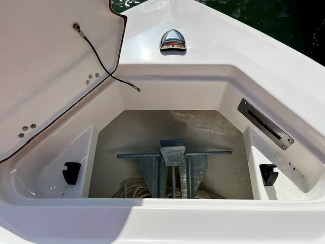 Slide: The Image of Sailfish 226 DC 2024 - 18