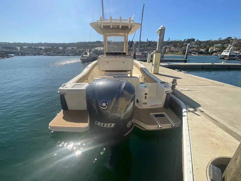 Slide: The Image of Scout 235 XSF 2020 - 7
