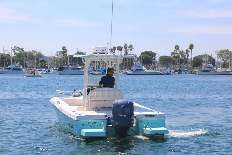 Slide: The Image of Robalo 246 Cayman 2017 - 2