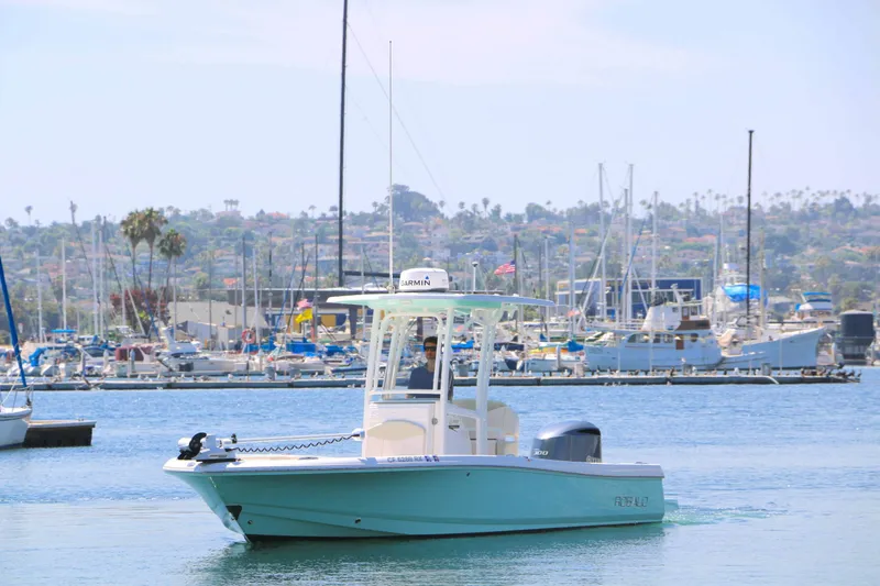 The Image of Robalo 246 Cayman 2017 - 0