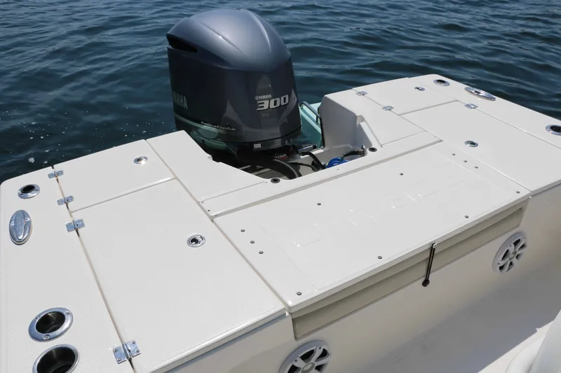 Slide: The Image of Robalo 246 Cayman 2017 - 7