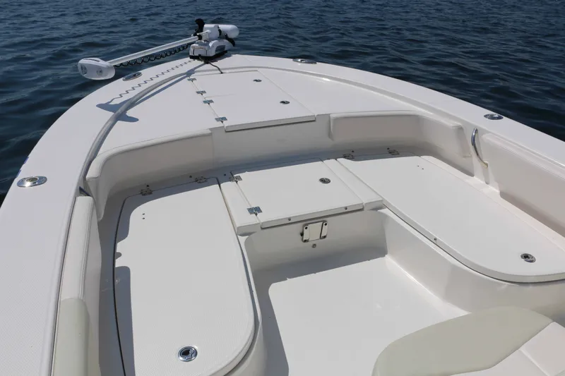 Slide: The Image of Robalo 246 Cayman 2017 - 3