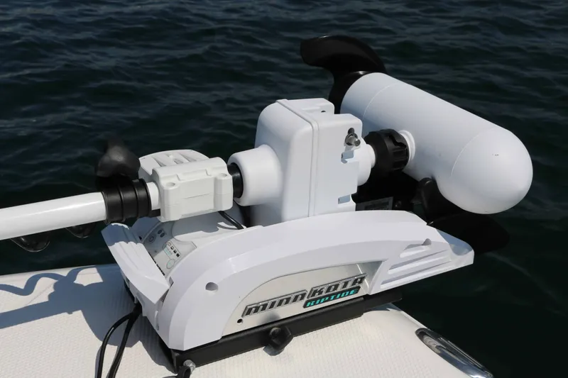 Slide: The Image of Robalo 246 Cayman 2017 - 15