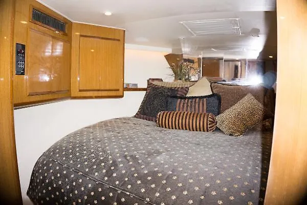 Slide: The Image of Viking 43 Convertible 2001 - 2