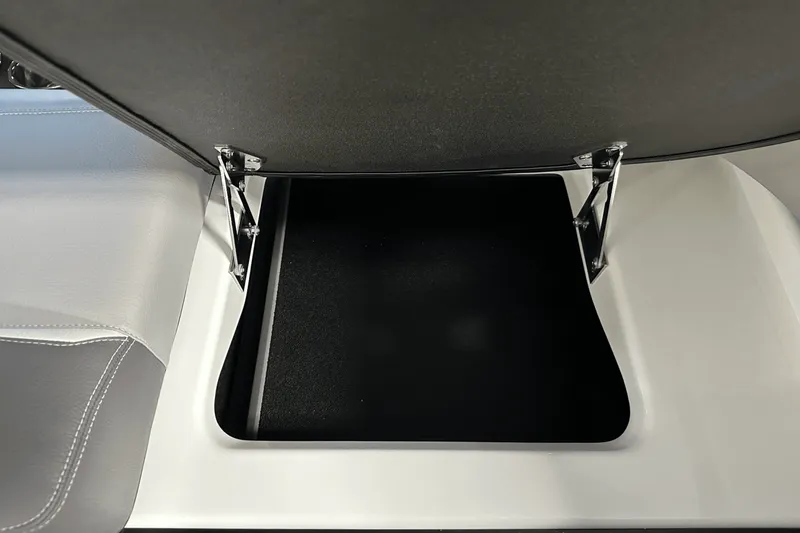 Slide: The Image of Supra SE 2025 - 33