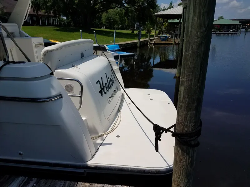 Slide: The Image of Large swim platform - 9