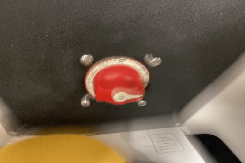 Slide: The Image of Tige Z3 2021 - 15