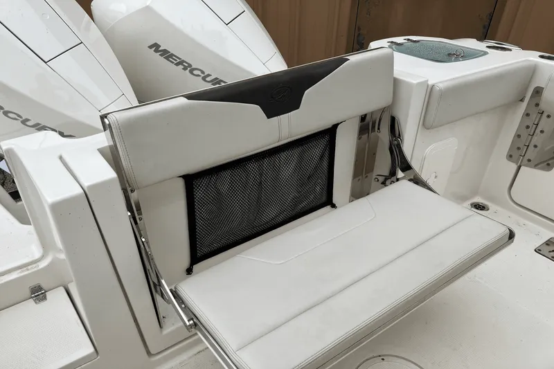 Slide: The Image of Sailfish 272 CC 2023 - 9