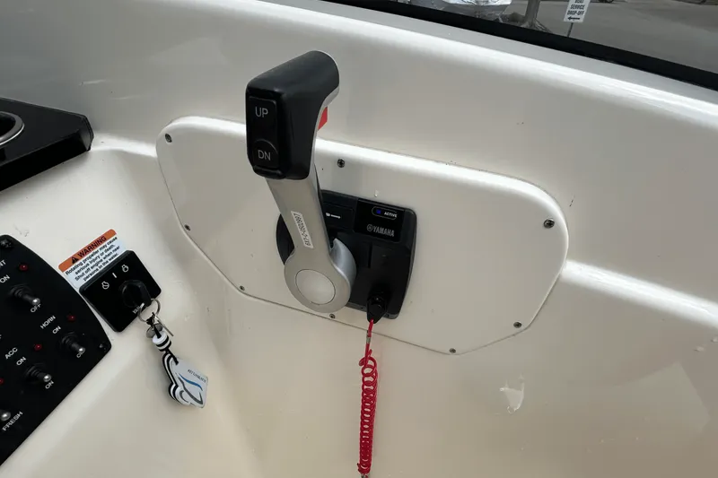 Slide: The Image of Scout DORADO 2023 - 11