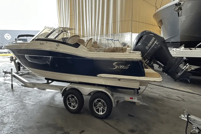 Slide: The Image of Scout DORADO 2023 - 2