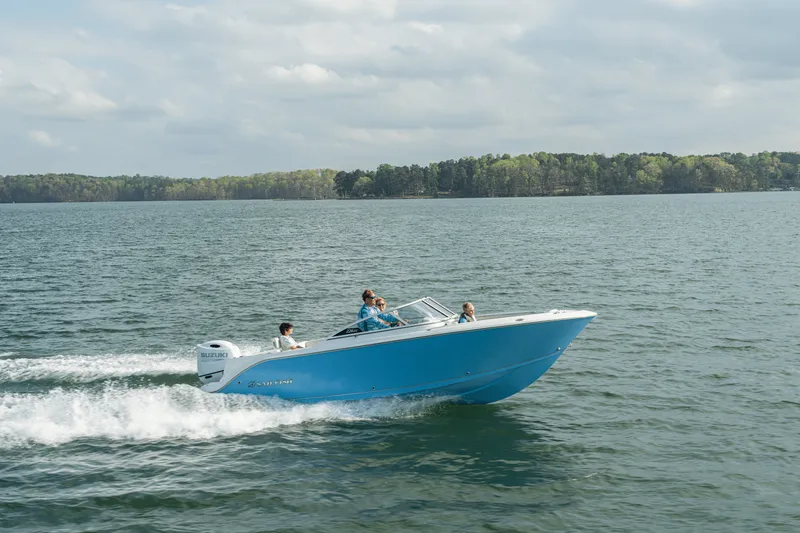 Slide: The Image of Sailfish 226 DC 2024 - 1
