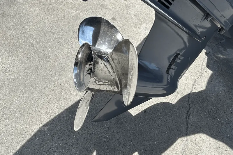 Slide: The Image of Manitou OASIS RF VP 2019 - 15