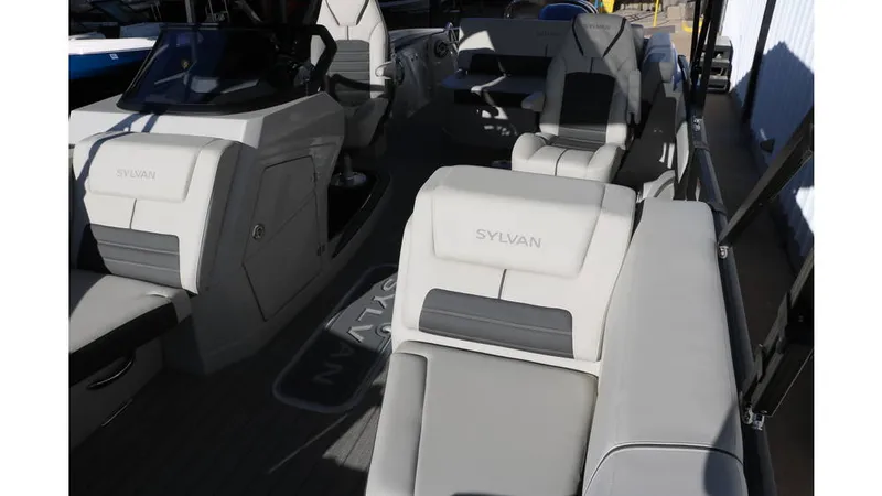 Slide: The Image of Sylvan G3 CLZ DH Tri-Toon 2025 - 14