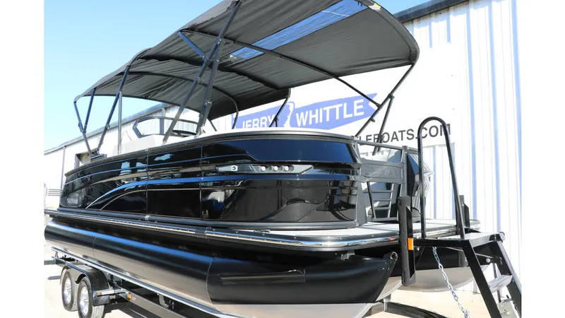 Slide: The Image of Sylvan G3 CLZ DH Tri-Toon 2025 - 9