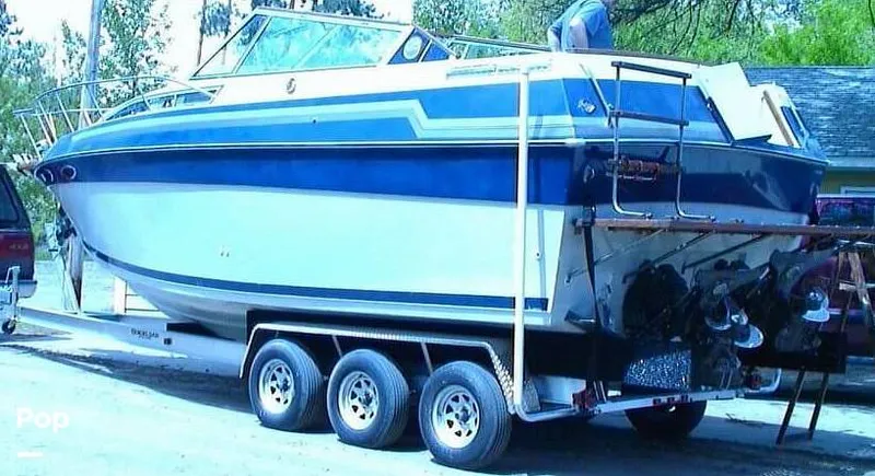 Slide: The Image of Swim Ladder, Twin Screws - 3144049