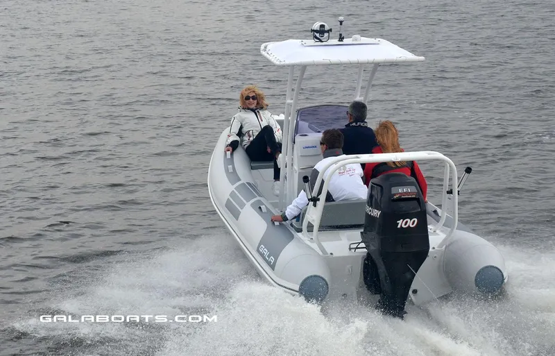 Slide: The Image of 2024 Gala VIKING V500 boat cruising with passengers on a lake. - 6