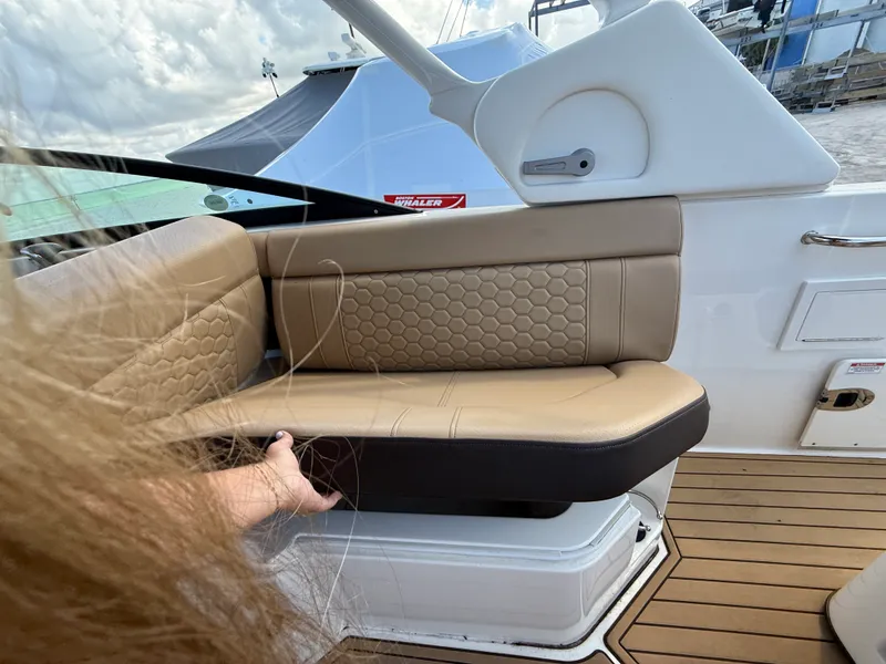 Slide: The Image of Sea Ray SDX 250 Outboard 2023 - 15