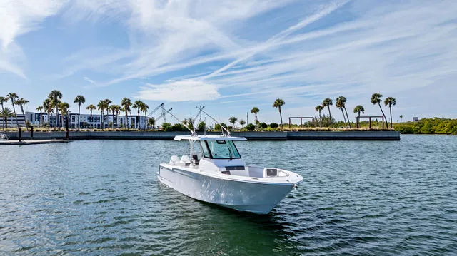 Slide: The Image of Bertram 39CC 2024 - 40