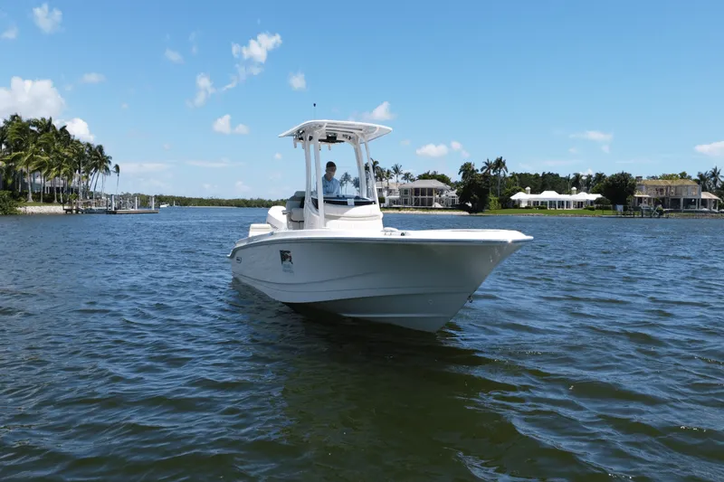 Slide: The Image of Boston Whaler 250 Dauntless 2025 - 10