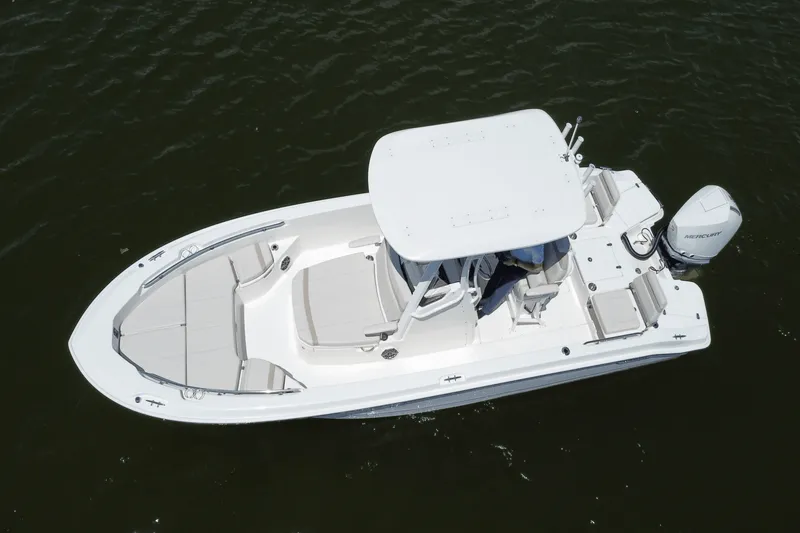 Slide: The Image of Boston Whaler 250 Dauntless 2025 - 11