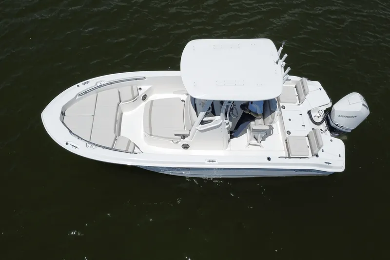 Slide: The Image of Boston Whaler 250 Dauntless 2025 - 12