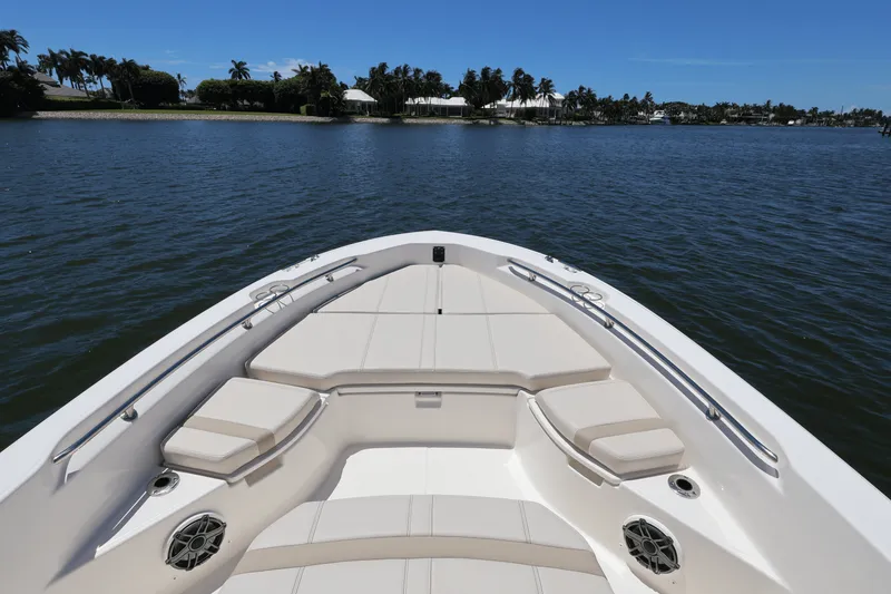 Slide: The Image of Boston Whaler 250 Dauntless 2025 - 14