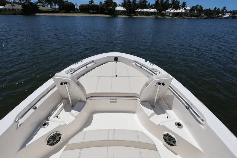 Slide: The Image of Boston Whaler 250 Dauntless 2025 - 15