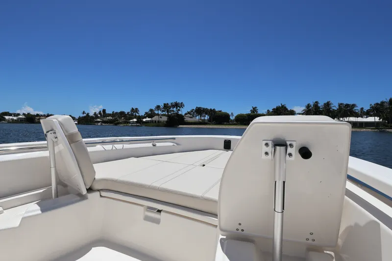 Slide: The Image of Boston Whaler 250 Dauntless 2025 - 16