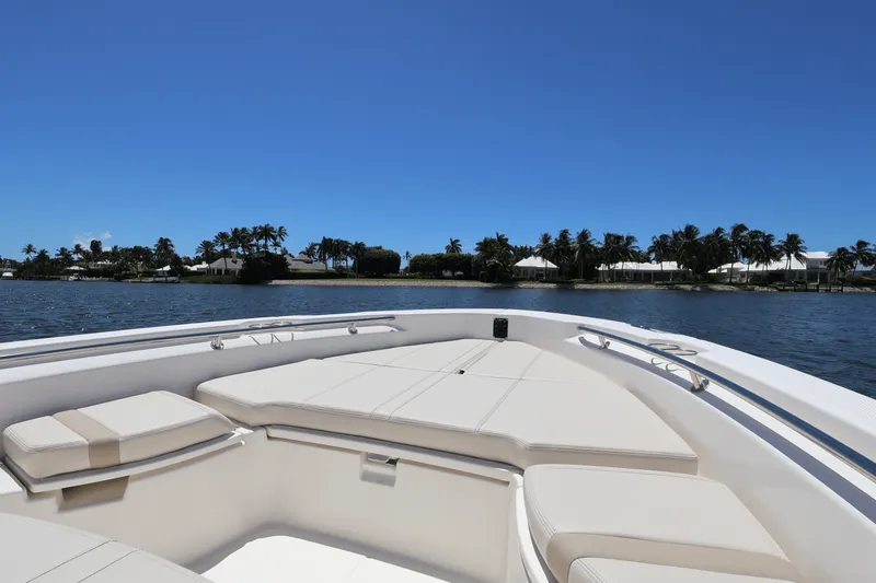 Slide: The Image of Boston Whaler 250 Dauntless 2025 - 18