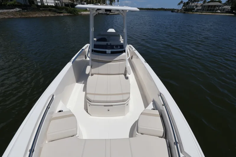Slide: The Image of Boston Whaler 250 Dauntless 2025 - 19