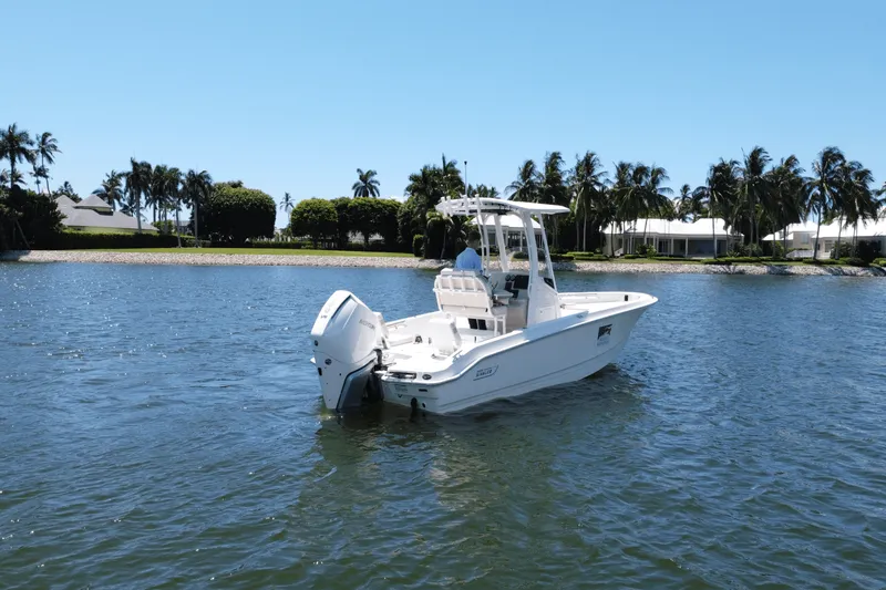 Slide: The Image of Boston Whaler 250 Dauntless 2025 - 2