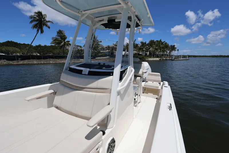 Slide: The Image of Boston Whaler 250 Dauntless 2025 - 21