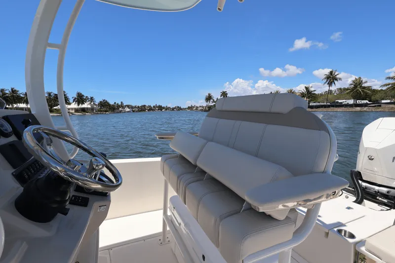 Slide: The Image of Boston Whaler 250 Dauntless 2025 - 23