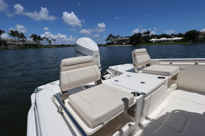 Slide: The Image of Boston Whaler 250 Dauntless 2025 - 26