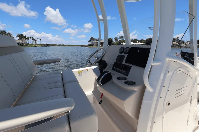 Slide: The Image of Boston Whaler 250 Dauntless 2025 - 30