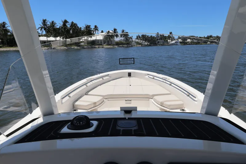 Slide: The Image of Boston Whaler 250 Dauntless 2025 - 31