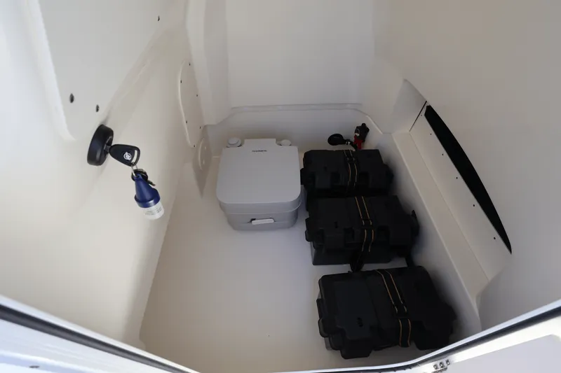 Slide: The Image of Boston Whaler 250 Dauntless 2025 - 34