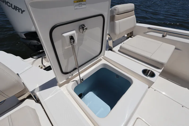Slide: The Image of Boston Whaler 250 Dauntless 2025 - 39