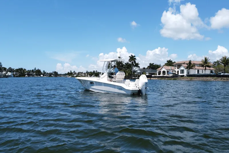 Slide: The Image of Boston Whaler 250 Dauntless 2025 - 4