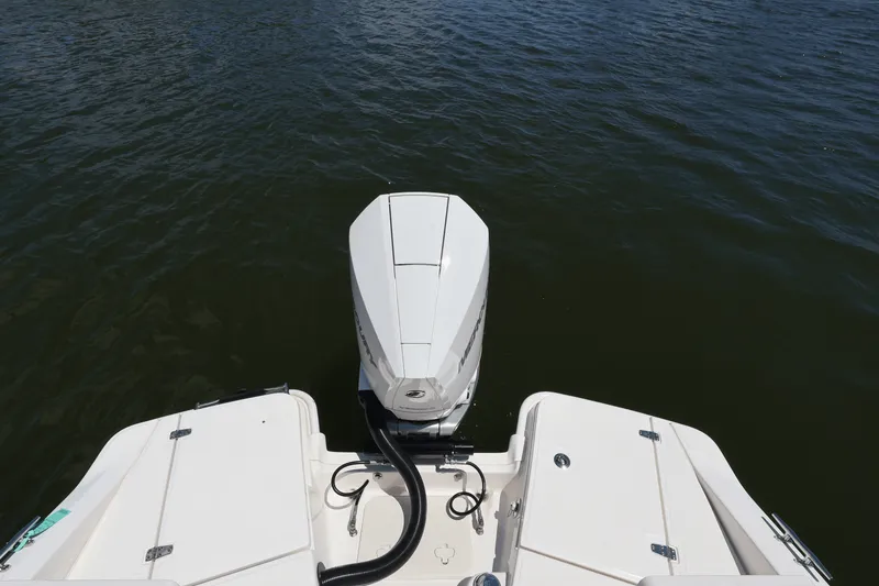 Slide: The Image of Boston Whaler 250 Dauntless 2025 - 40