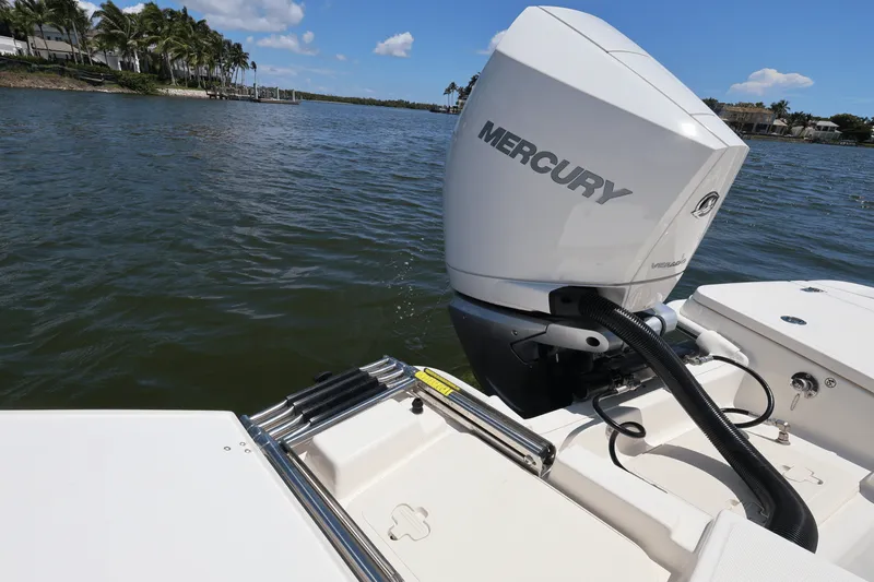 Slide: The Image of Boston Whaler 250 Dauntless 2025 - 41