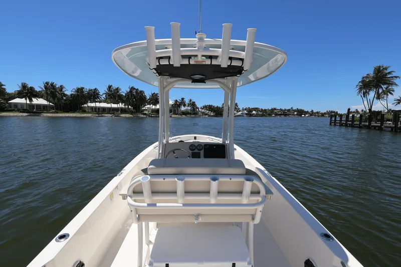 Slide: The Image of Boston Whaler 250 Dauntless 2025 - 49
