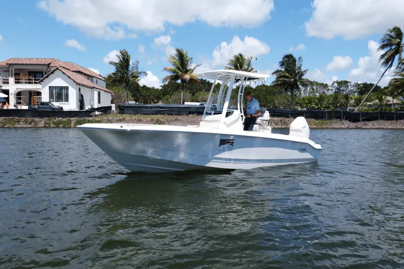 Slide: The Image of Boston Whaler 250 Dauntless 2025 - 6
